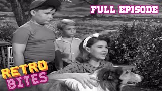 Lassie  Teamwork  Lassie English Full Episodes [upl. by Odetta]