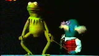 Sesamstraße  Kermit und Professor Hastig  Körperteile deutsch [upl. by Aniled]