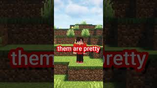 Minecraft Secret Spector Mode Feature [upl. by Netsyrk]