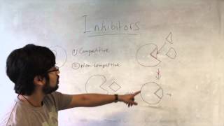 Enzymes Cofactors and Inhibitors [upl. by Archangel381]