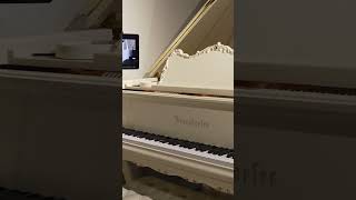 Capture Performances with Disklavier  Bösendorfer 185VC Grand Piano at Classic Pianos Denver [upl. by Annawal]