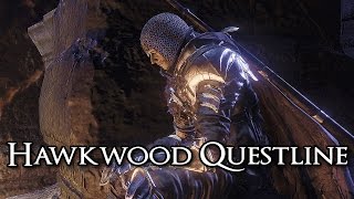 Dark Souls 3 Hawkwood Questline  Dragon Stone Locations 1080p HD [upl. by Goldarina913]