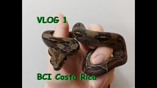 VLog 1  Einstieg in die Saison und BCI Costa Rica [upl. by Aneleh176]