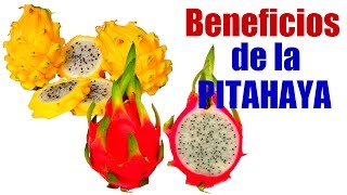 Los Beneficios de la Pitahaya  Agrosalud [upl. by Alemaj]