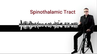 Spinothalamic Tract [upl. by Donica]