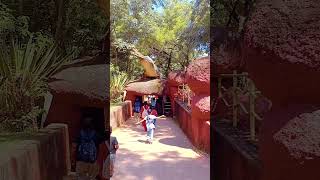 Big Reptiles shortvideo animals vedu1416 zoo crocodiles nehruzoologicalpark [upl. by Wyatt]