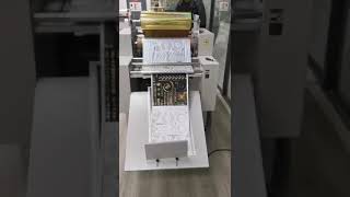 Cold Foil Stamping Machine For Paper Sheet [upl. by Driskill453]