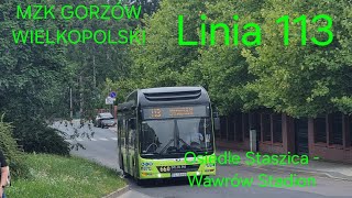 MZK Gorzów Wielkopolski linia 113  MAN NL253 Lion s City Hybrid 660 [upl. by Noryak]