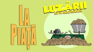 La piata  Luzarii de pe Electrolizei 14 [upl. by Eninnej704]