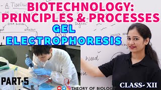 GEL ELECTROPHORESIS TECHNIQUE PART5BIOTECHNOLOGY NEET 2025NCERT BIOLOGYDNA SEPARATIONHTET [upl. by Roderigo803]