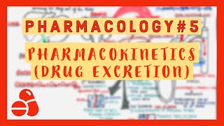 Pharmacology 5  Pharmacokinetics Drug Excretion [upl. by Suivatal]