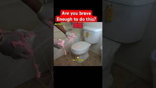 The most epic toilet prank ever funny prank laugh [upl. by Dunkin]