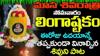 BRHMA MURARI SUVARCHITA LINGAM  LINGASHTAKAM  LORD SHIVA POPULAR STOTRAS  LORD SHIVA SONGS [upl. by Ainevuol]