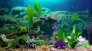 7Hour Relaxing Aquatic Fish Tank  Perfect Screensaver amp Background Video [upl. by Romeu]