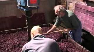 Un pressoir traditionnel en Pays Beaujolais [upl. by Letitia]