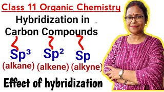 hybridizationhybridization in carbon compounds sp³sp² and sp hybridizationClass 11 Chemistry [upl. by Thisbe]