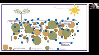 HerbicideSoil Interactions — Take Actions quotInside Weed Managementquot Series [upl. by Auqenes]