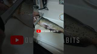 How to fillet catfish fishing catfish fish fillet friedfish food nuggets howto [upl. by Aziza547]