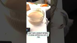 Fussy dog only eats biscuits when theyve been dunked in tea ☕️ 🎥 Contentbible [upl. by Adela960]