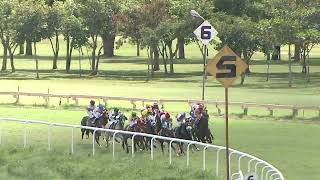 NATURAL SPEED with Vivek G up wins The Kemmannugundi Plate Div2 2024 RACE NO 53 [upl. by Case87]