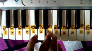 ra sihinen maa keyboard notation and playingchords රැ සිහිනෙන් මා ස්වරsanka dineth [upl. by Aneeuq]