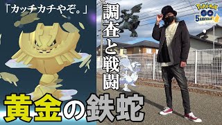 【ポケモンGO】色違いメガハガネールを召喚せよ！高個体レシラム＆ゼクロムを目指して合計68連戦！新シーズン「ヘリテージ」の気になる野生状況も調査してみるぞいねスペシャル！【久しぶりの冒険】 [upl. by Marlea969]