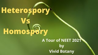 NEET 2021 Botany Solved Paper  Plant kingdom  Pteridophyta  Heterospory and Homospory [upl. by Potash779]