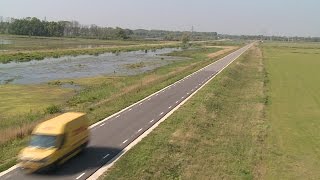 Biesboschbevers doodgereden op nieuwe polderwegen in de Noordwaard [upl. by Ellehcin]