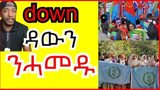 ህግደፍ ዳውን ዳውን ይላመድ ኣብ ኢንግሊዝ  Yikealo Tv [upl. by Gnouhp]