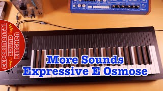 ESK  More Sounds Expressive E Osmose [upl. by Maida]