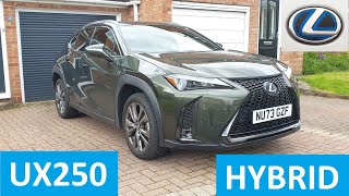 2023 Lexus UX250 Hybrid Review [upl. by Seek370]