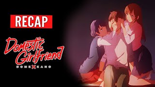 Domestic Girlfriend  ANIME RECAP  Domestic na Kanojo [upl. by Hunsinger]