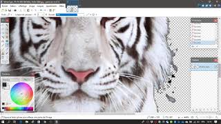 PaintNet  Détourer une image pour changer le fond [upl. by Oetomit]