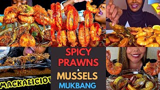 🌶️🍲🍤 Shrimp and Mussel Mukbang Spicy Seafood Mukbang ASMR  MUKBANG COMPILATION🦐🌶️🤤 [upl. by Aiuqal]