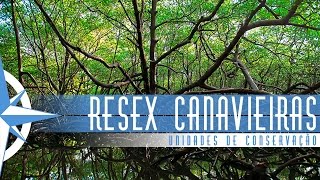 Reserva Extrativista de Canavieiras  Episódio 33 [upl. by Whitcher]