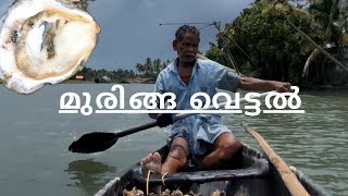 മുരിങ്ങ വെട്ടൽOyster in kerala😱 [upl. by Goodrow]