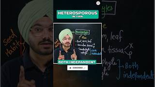 🔴 HETEROSPOROUS PTERIDOPHYTES EXAMPLES IN 1 Minute ytshorts shortsfeed neet2024 botany [upl. by Anurb316]