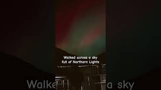 Watching Northern Lights in Norway  Beautiful Night Magical Sky Northern Lights Norway  Winter [upl. by Shaylyn]