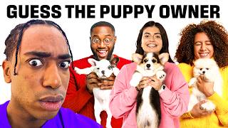 Match The Puppy To The Owner [upl. by Ydaf]