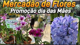 Mercadão das Flores  Dia das Mães 2024 [upl. by Bartosch]