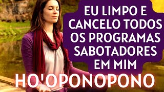 🎶OUVIR DORMINDO  HOOPONOPONO  CANCELO TODOS OS PROGRAMAS SABOTADORES DA PROSPERIDADE [upl. by Ayouqes828]