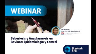 Babesiosis y Anaplasmosis en Bovinos Epidemiologia y Control  Webinar  Biogénesis Bagó [upl. by Nnoj]