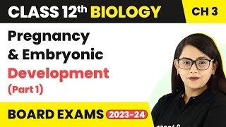 Class 12 Biology Chapter 3 Pregnancy amp Embryonic Development Part 1 Human Reproduction CBSENEET [upl. by Webber]