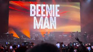 Beenie Man  OVO Arena Wembley London 2024 [upl. by Vacuva]