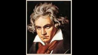 Beethoven 5th Symphony  Sinfonia Cinco Salsa  Sverre Indris Joner [upl. by Aivan549]