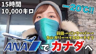 オーロラを見にANAに乗ってカナダへ‼️日本では味わえない−20℃の世界が凄すぎた✨ [upl. by Vally106]