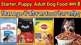 Puppy Starter Puppy adult dog food kya hai  dog food  dog food pedigree  pedigree [upl. by Deane]