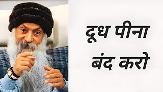 Say NO to Milk  Osho on Milk  Hindi [upl. by Khalin]