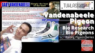 History of Gaby Vandenabeele Pigeon  Racing Pigeon Series ft BioResearch BioPigeons  TUKLASibonPH [upl. by Htederem]