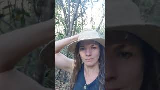 Relaxing trails around the house brazil cerrado asmr relaxing waldbaden [upl. by Anastase]